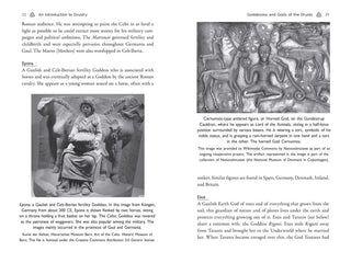CELTIC DRUIDRY