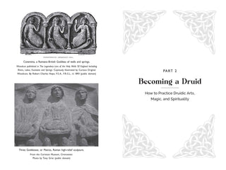 CELTIC DRUIDRY