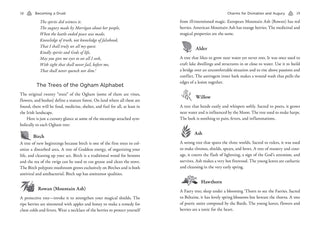 CELTIC DRUIDRY
