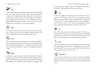 CELTIC DRUIDRY