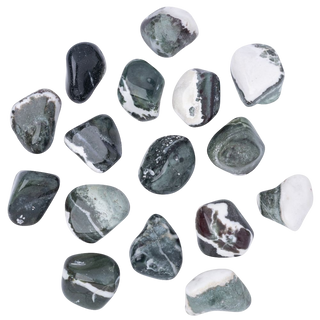 SARDONYX - GREEN