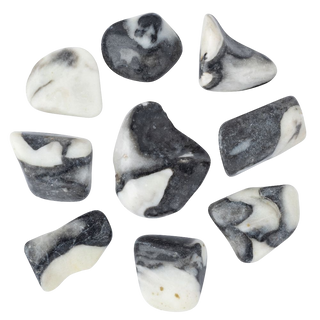 JASPER - SHELL