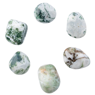 AGATE - TREE