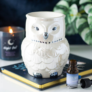 The-geordie-witch-owl-shaped-oil-burner