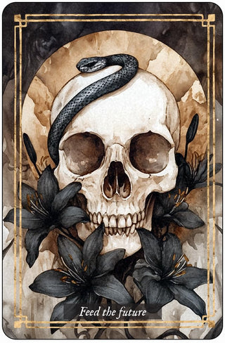 The-geordie-witch-tarot-and-oracle-Memento-Mori-Cards-Embrace-Life