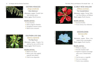 The-geordie-witch-tarot-and-oracle-the-Hoodoo-Tarot-Workbook