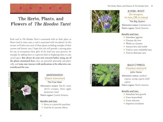 The-geordie-witch-tarot-and-oracle-the-Hoodoo-Tarot-Workbook
