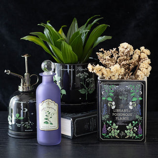 The-geordie-witch-venom-and-vines-collection-image