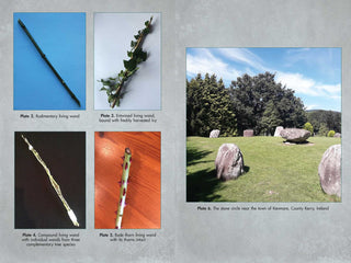 the-geordie-witch-books-living-wands-of-the-druids