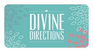 DIVINE DIRECTIONS
