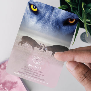 DREAM READING CARDS