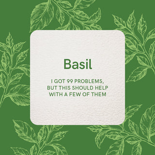 ESSENTIAL OIL WELLNESS CARDS