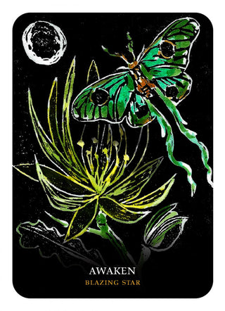 FLOWERS OF THE NIGHT ORACLE