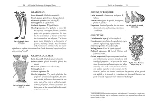 OCCULT BOTANY