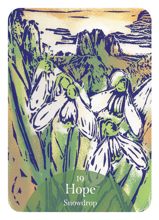 THE LANGUAGE OF THE FLOWERS ORACLE