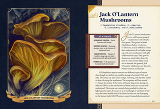 THE LITTLE BOOK OF MUSHROOMS